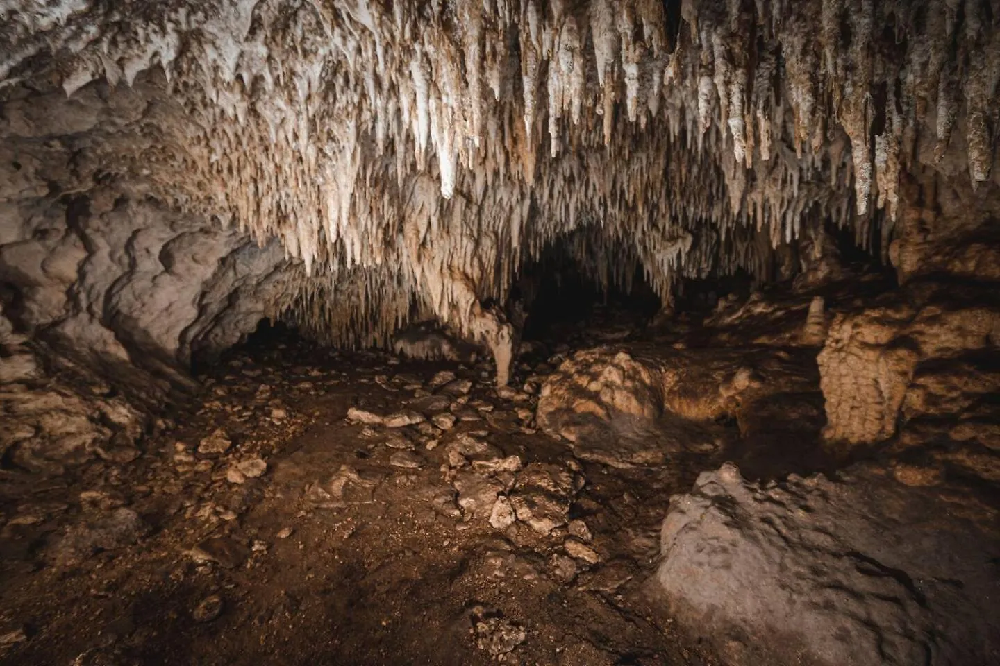 Xcaret Jungle Private Cave Stay Playa del Carmen Mexiko