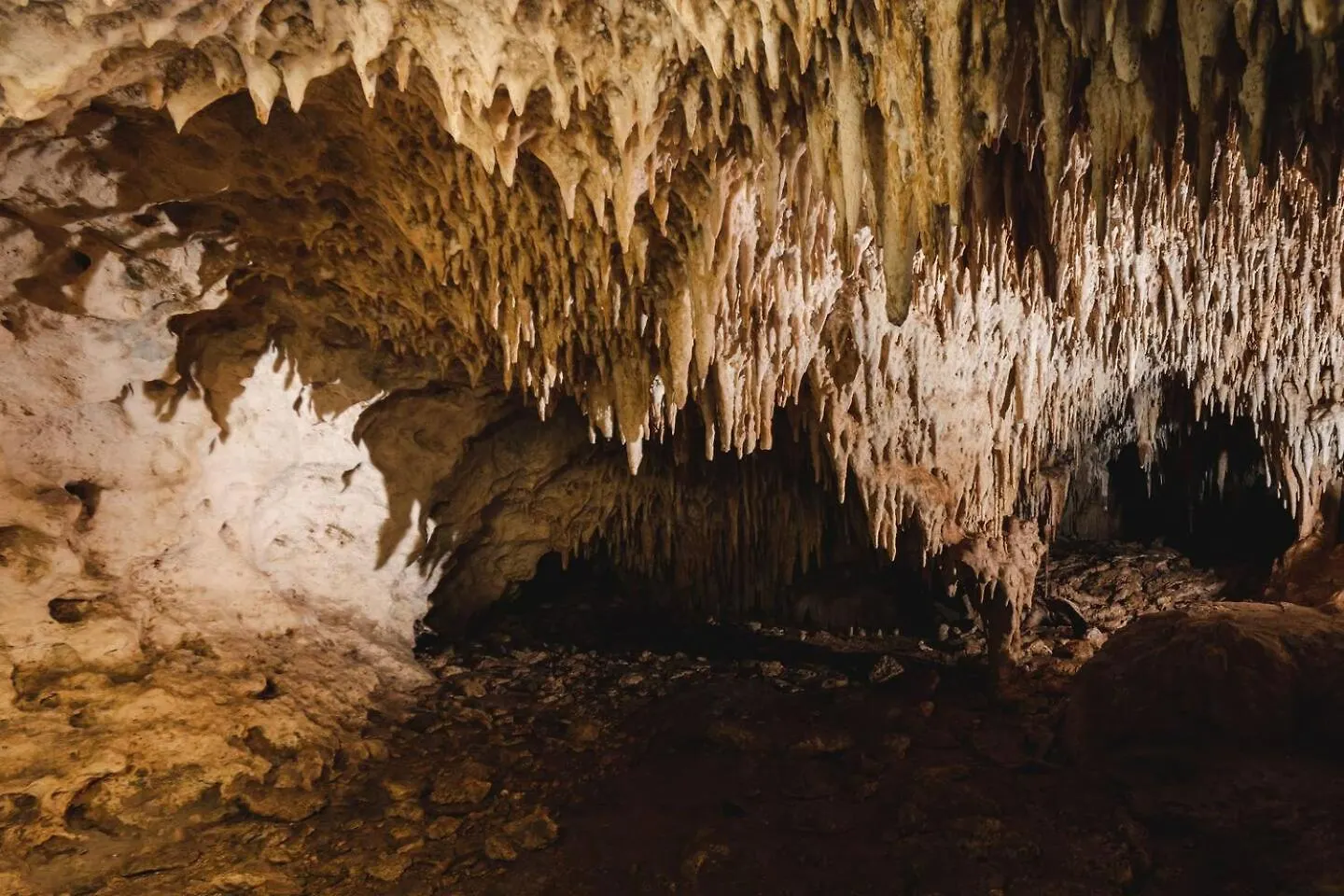 Xcaret Jungle Private Cave Stay Playa del Carmen Lyxtält