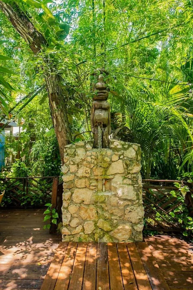 Xcaret Jungle Private Cave Stay Playa del Carmen
